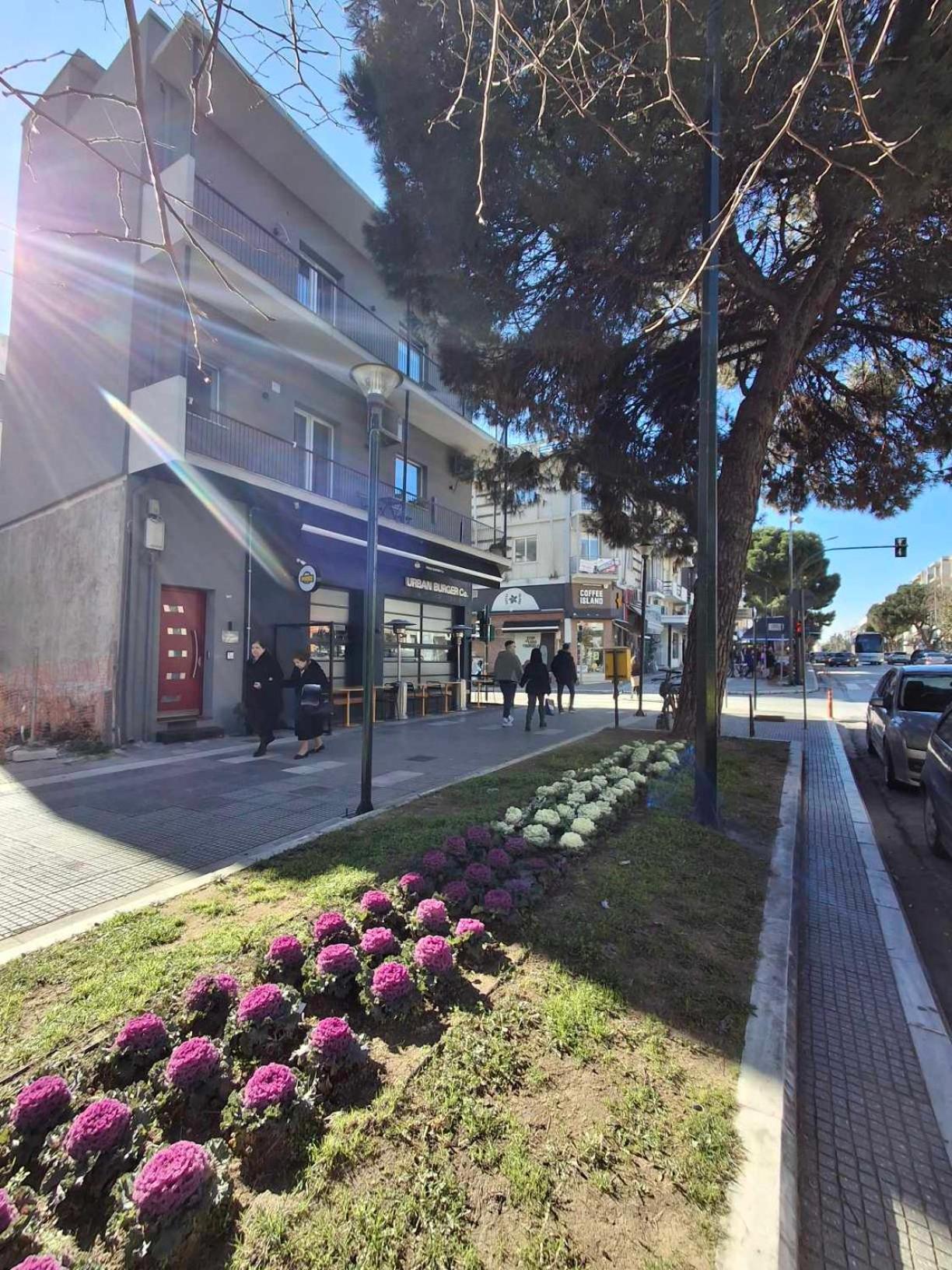 City Center Apartment 1 Alexandroupoli Bagian luar foto